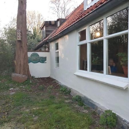 Villa Vogelvrij Vierhuizen Exterior foto