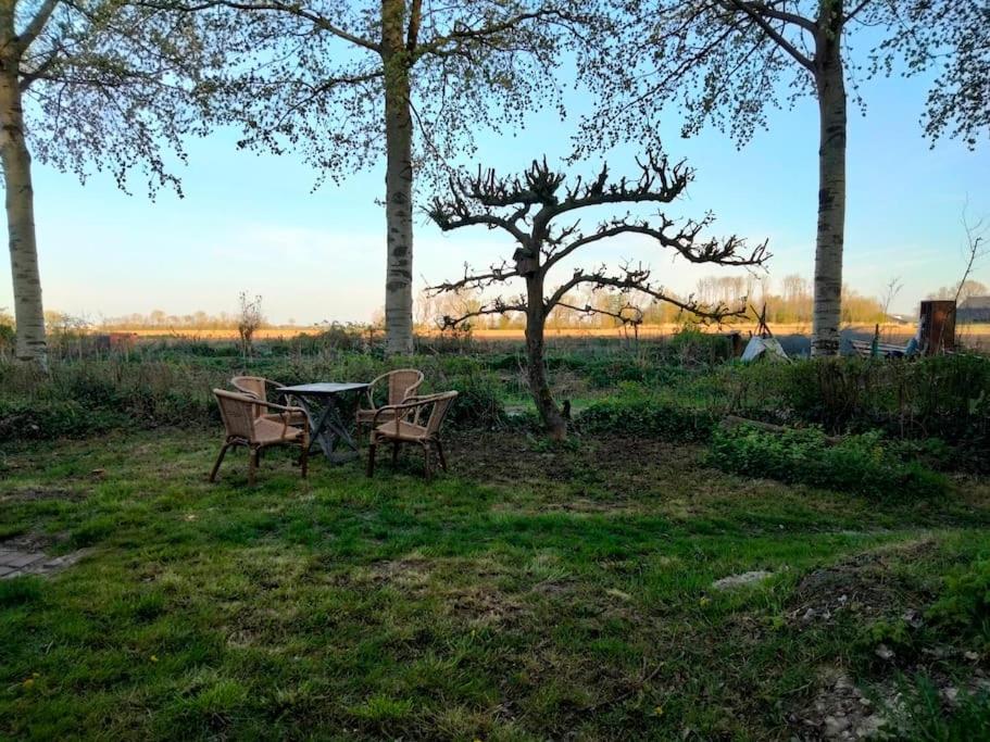 Villa Vogelvrij Vierhuizen Exterior foto