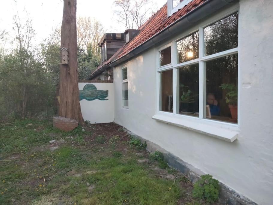 Villa Vogelvrij Vierhuizen Exterior foto
