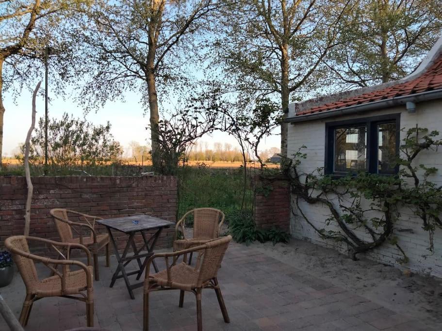 Villa Vogelvrij Vierhuizen Exterior foto